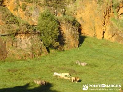 Parque de la Naturaleza de Cabárceno - Cantur - Cantabria; senderismo sierra guadarrama